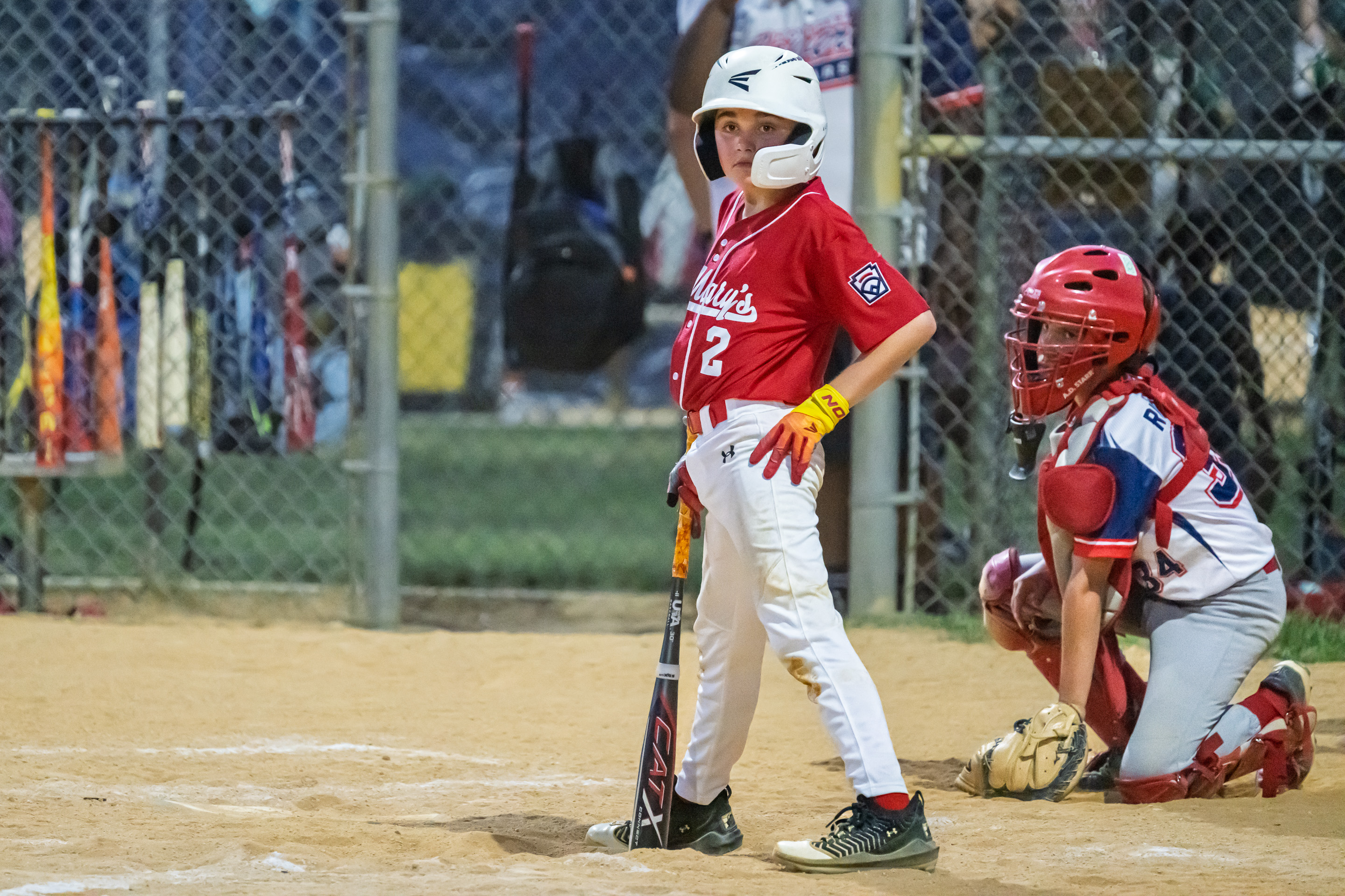 3rd PrizeAssigned Pictorial In Class 3 By Leon Smith For Say What Coach OCT-2025.jpg